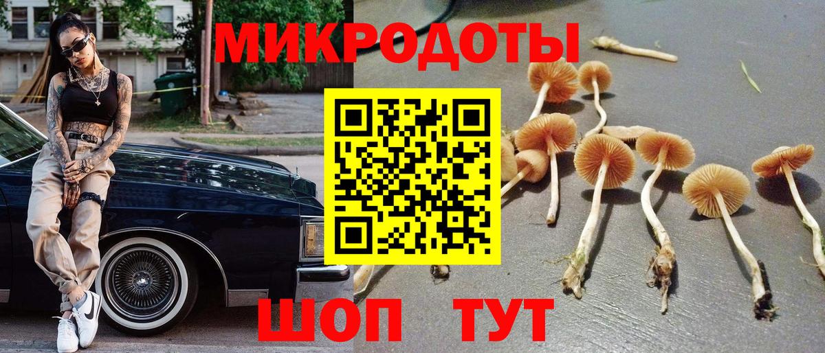 закладка  Галлюциногенные грибы MAGIC MUSHROOMS  Вход с VPN  Озёры 